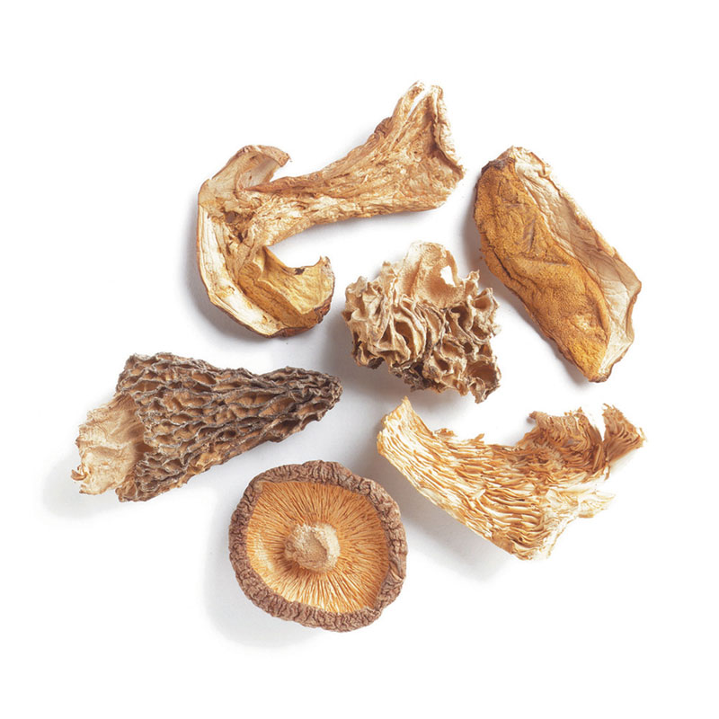 Blend of Boletes, Oyster, Porcini, Shiitake, Chanterelle, Morel Mushrooms